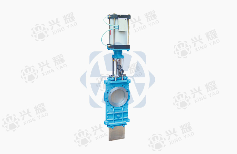  Throttle insert valve